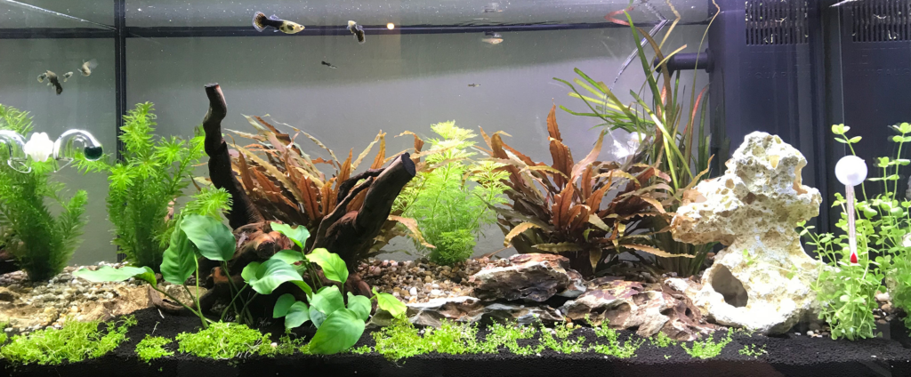 AkvarieSNAK 20 Andre 110L