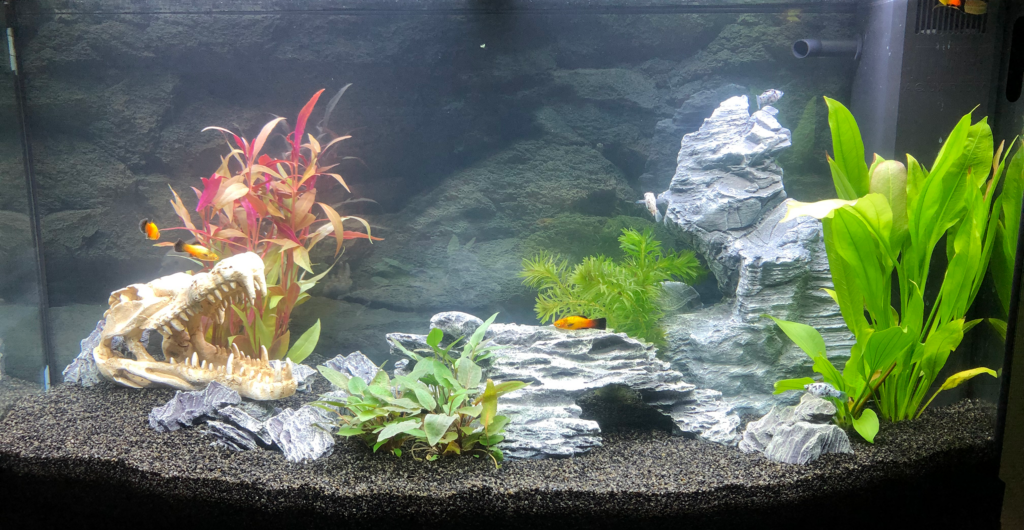 AkvarieSNAK 23 Jonas 180L