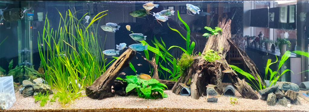 33 - Flemming 530L 1 - AkvarieSNAK ATI WEB