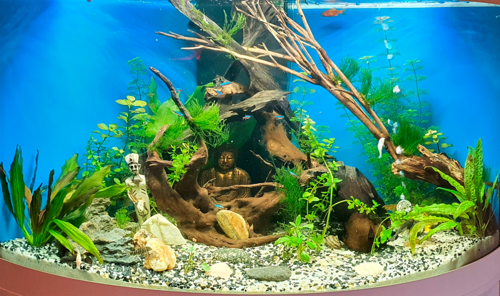 34 - Kenneth 190L 1 - AkvarieSNAK ATI WEB