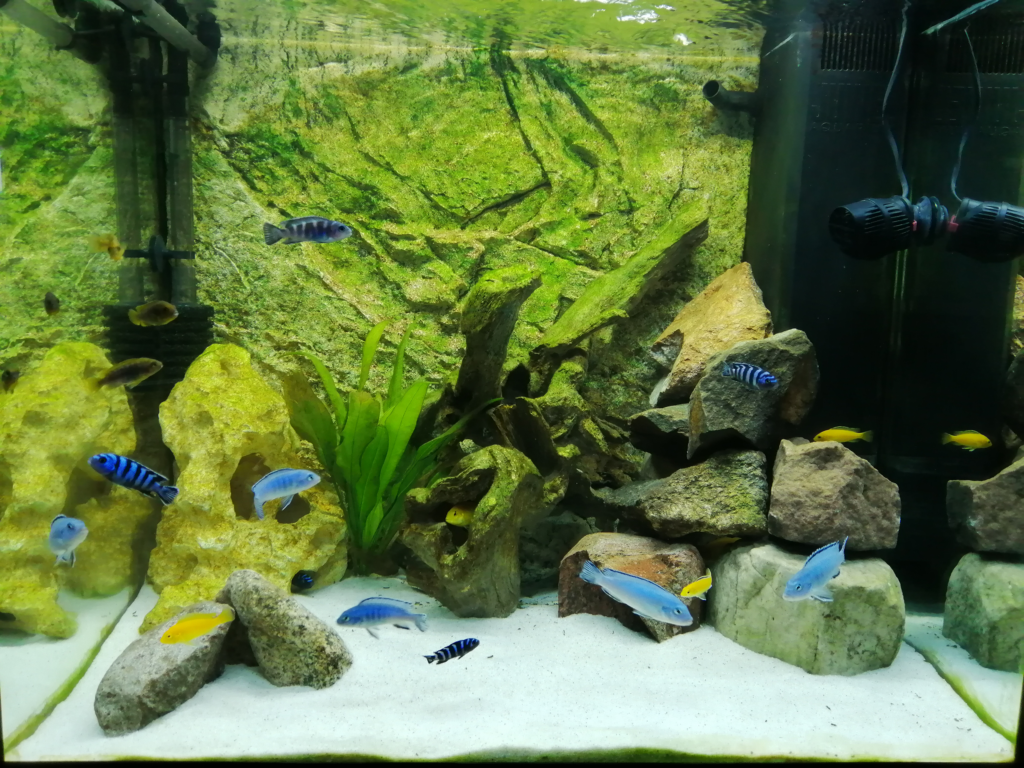35 - Emil 200L - AkvarieSNAK ATI WEB