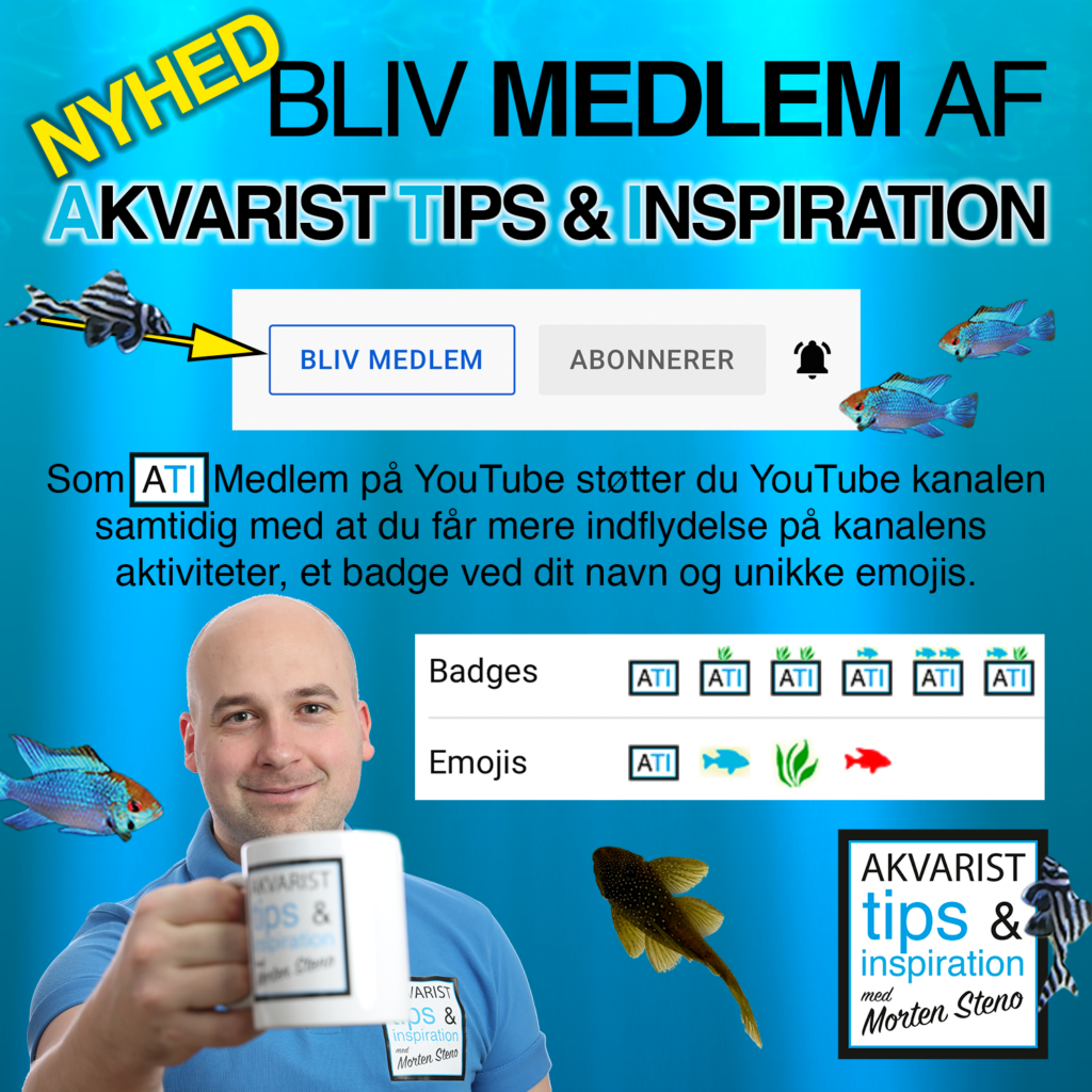 ATI Medlem - Nyhed 2021-11-01